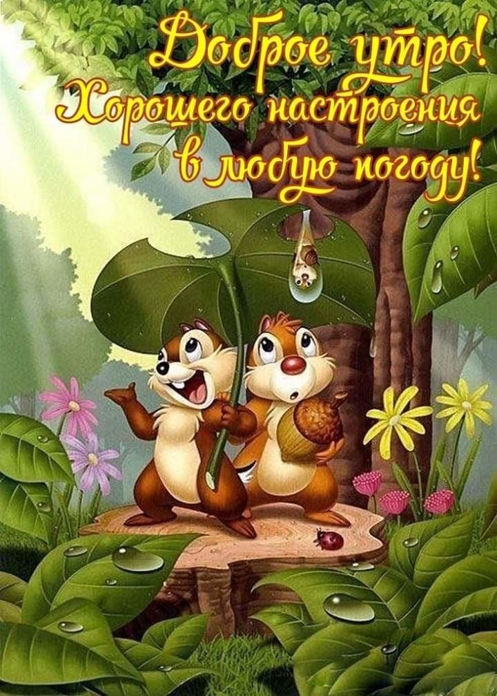 Картины для хорошего настроения Картины для хорошего настроения