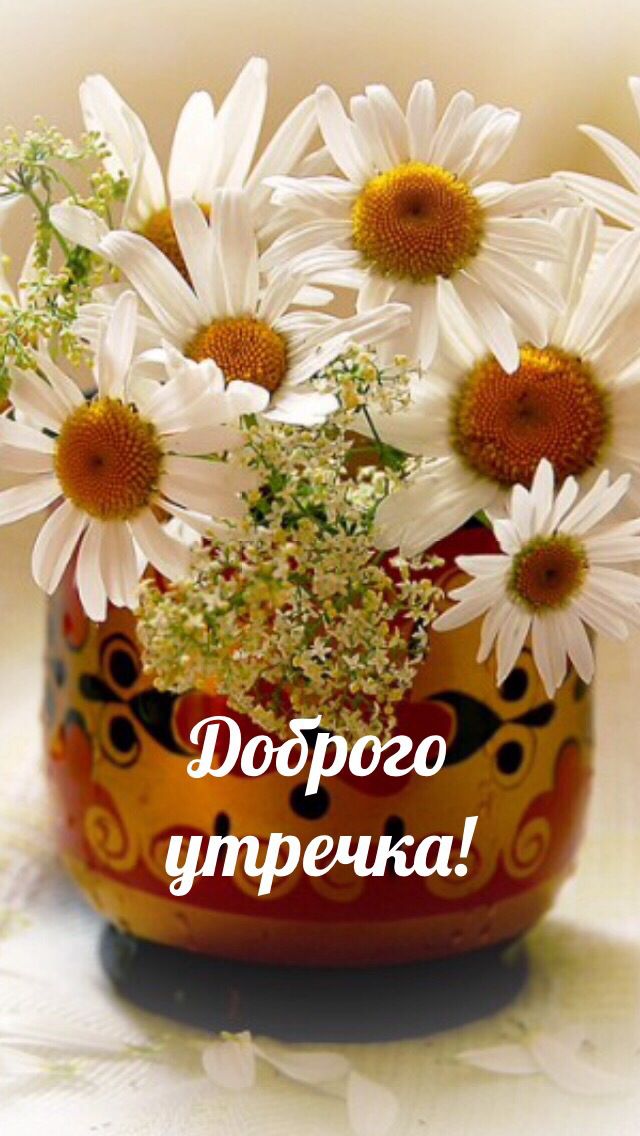 Хорошего настроения и удачного дня цветы Хорошего настроения и удачного дня цветы