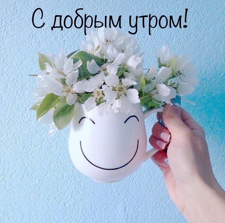 позитивные картинки с добрым утром скачать бесплатно позитивные картинки с добрым утром скачать бесплатно