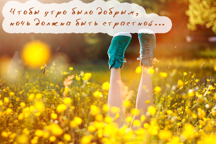 С добрым утром картинки позитивные С добрым утром картинки позитивные