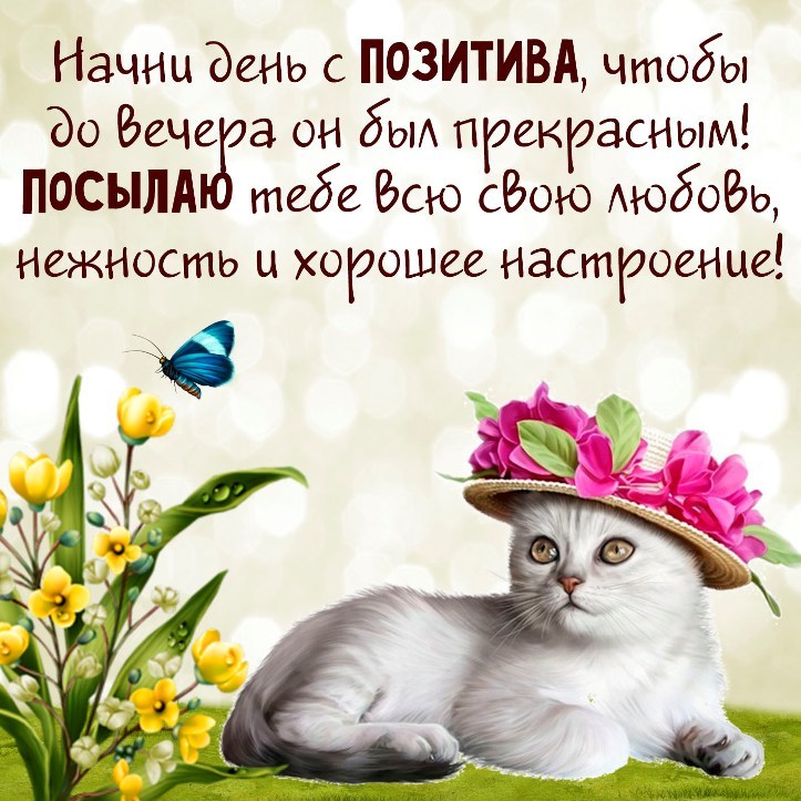 Открытки с позитивными пожеланиями на весь день! Открытки с позитивными пожеланиями на весь день!