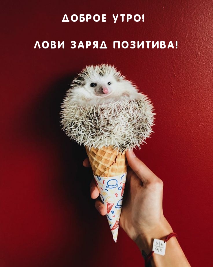 Доброе утро заряд позитива Доброе утро заряд позитива