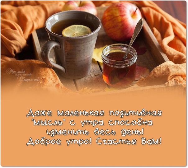 Афоризмы с добрым утром и хорошего настроения Афоризмы с добрым утром и хорошего настроения
