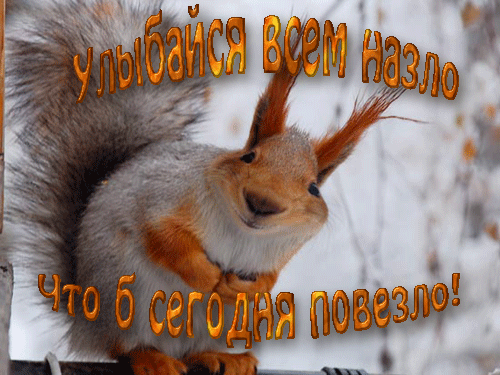 С добрым утром Бельчонок