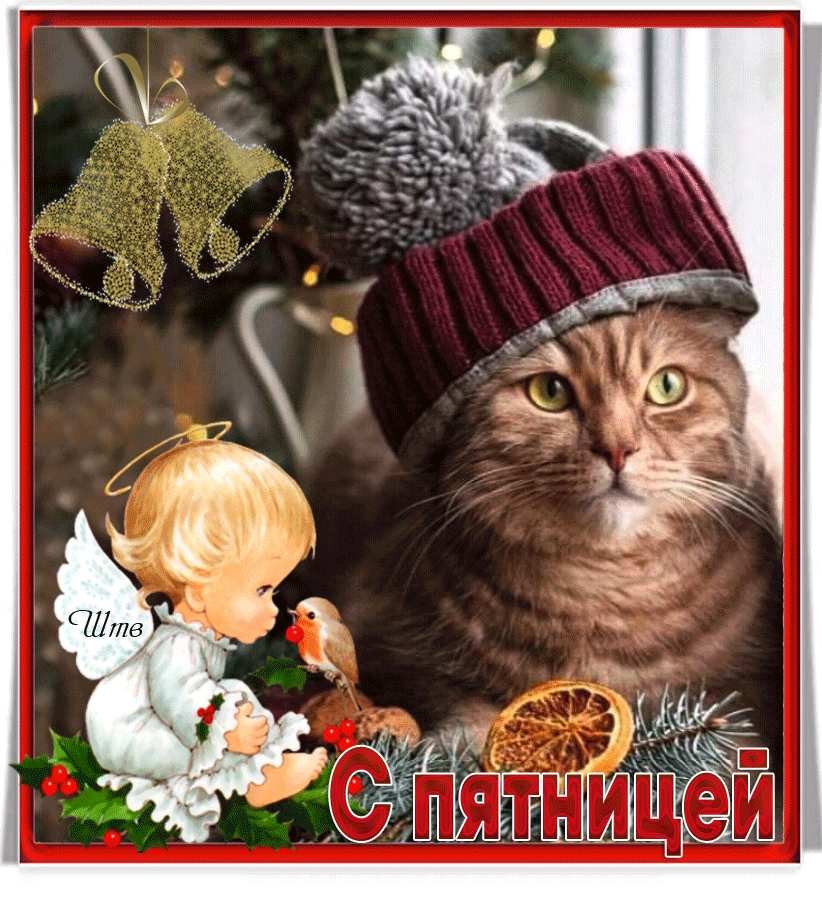 Зимние Картинки С Пятницей!