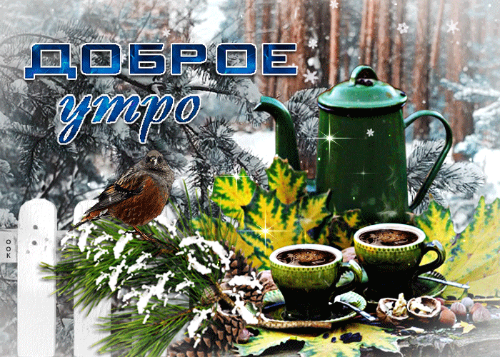 Прекрасная февральская открытка доброе утро в зимнем лесу Прекрасная февральская открытка доброе утро в зимнем лесу