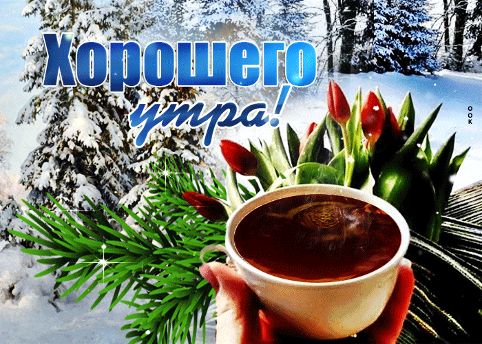Блестящая картинка хорошего утра в феврале! Блестящая картинка хорошего утра в феврале!