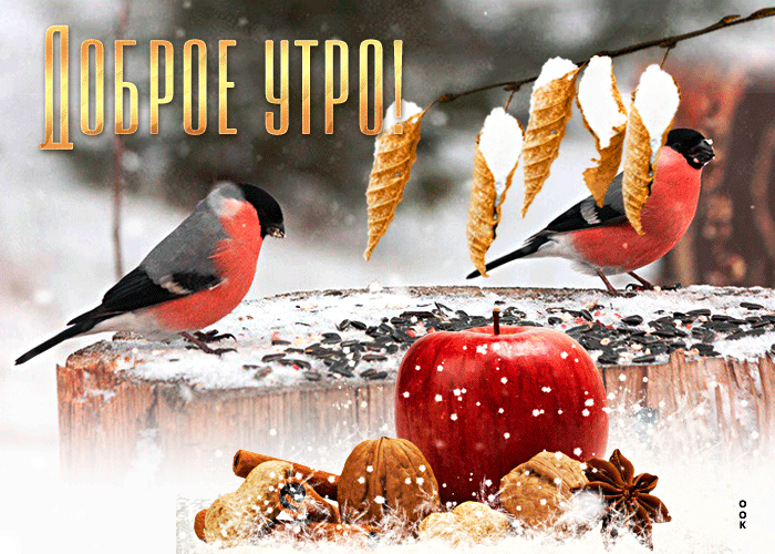Классная открытка доброе утро с птицами Классная открытка доброе утро с птицами