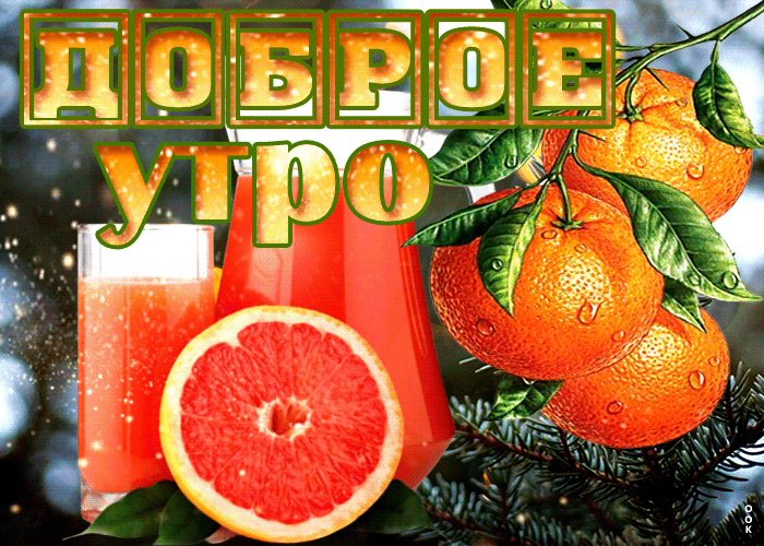 Блестящая зимняя открытка доброе утро с цитрусовыми фруктами Блестящая зимняя открытка доброе утро с цитрусовыми фруктами