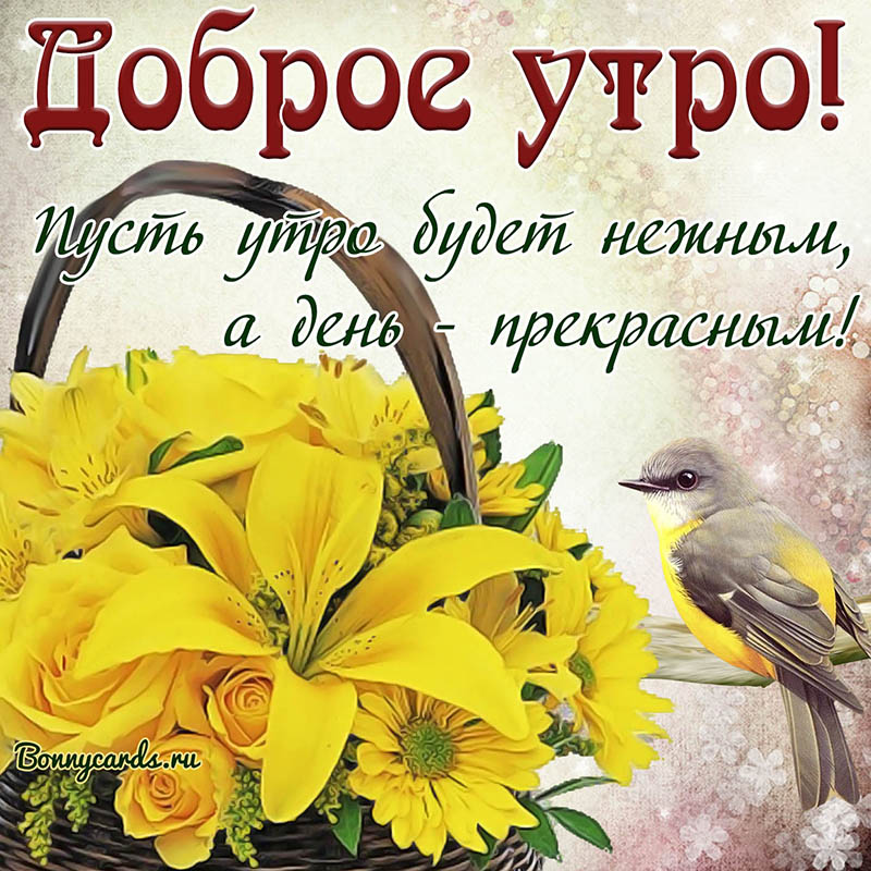 Летняя Открытка доброе утро с корзинкой цветов и птичкой. Летняя Открытка доброе утро с корзинкой цветов и птичкой.