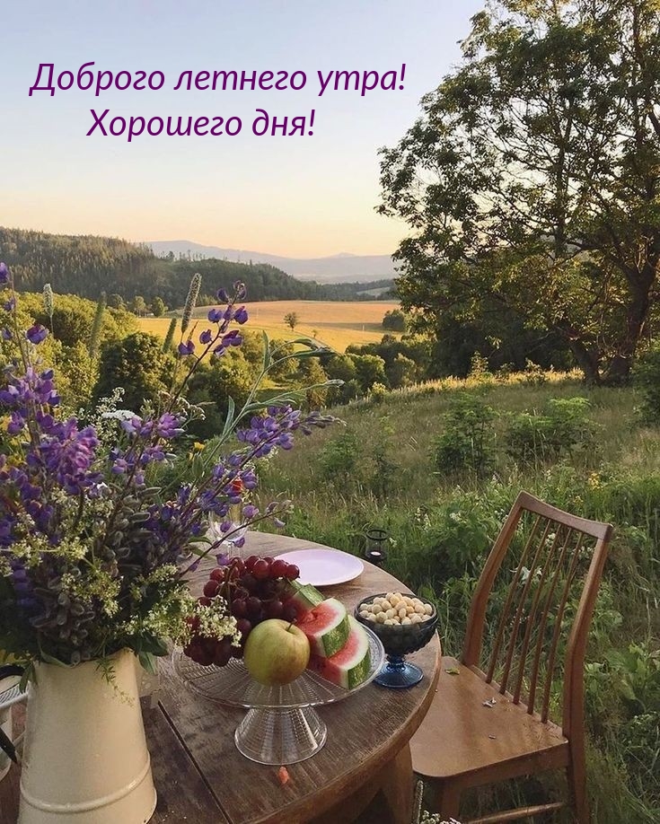 Открытки с добрым утром летние и хорошего дня! Открытки с добрым утром летние и хорошего дня!