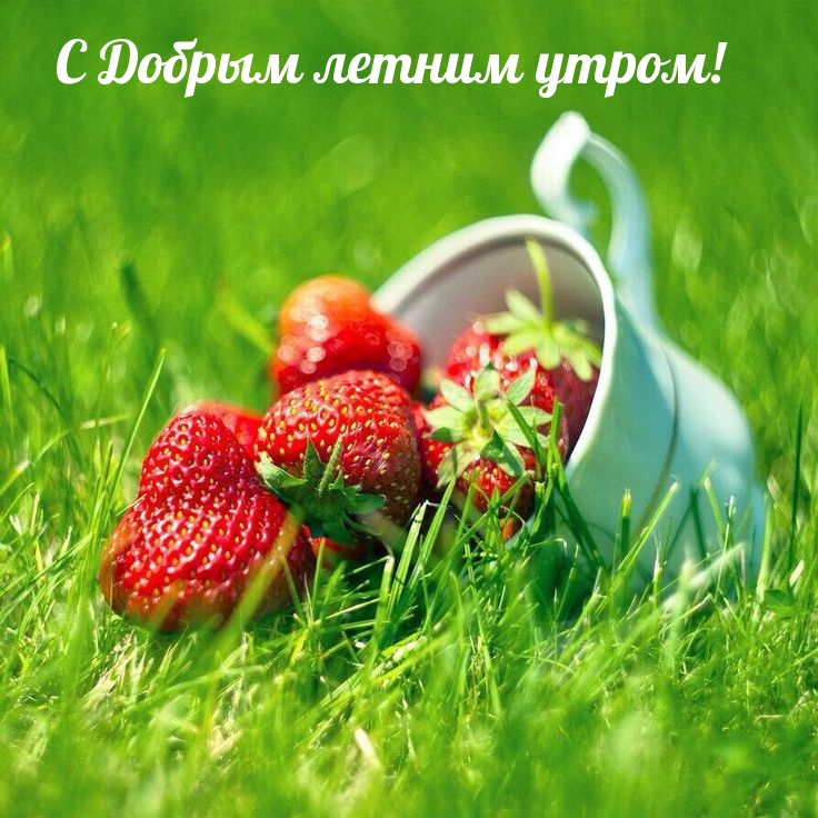 Красивые картинки "Доброе летнее утро" (50 открыток). Красивые картинки "Доброе летнее утро" (50 открыток).