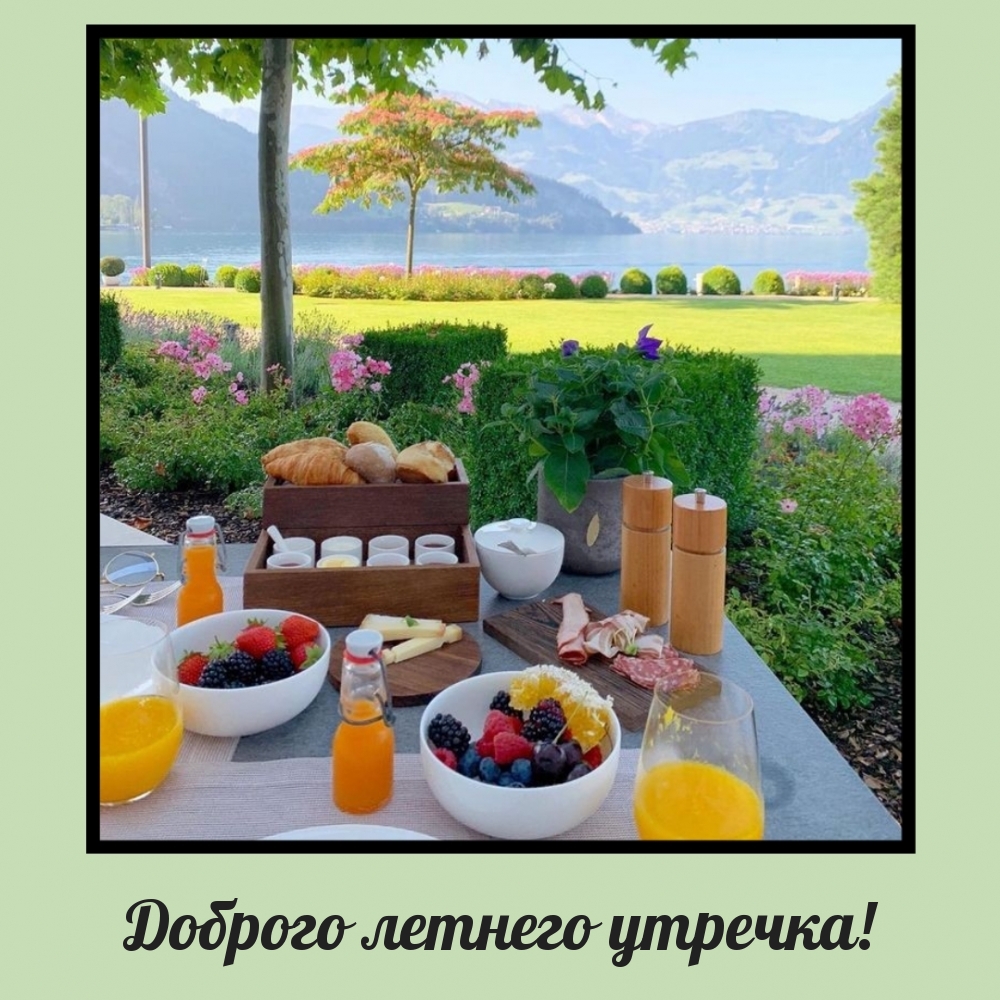 Красивые утренние полевые цветы Красивые утренние полевые цветы