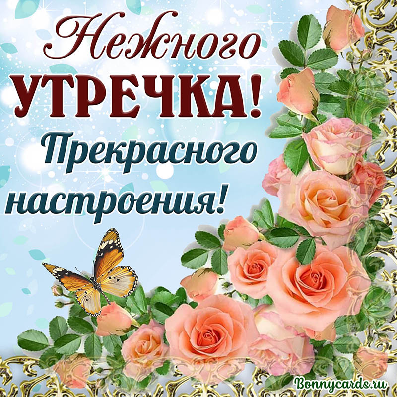 Пожелание нежного летнего утречка на картинке с розочками. Пожелание нежного летнего утречка на картинке с розочками.