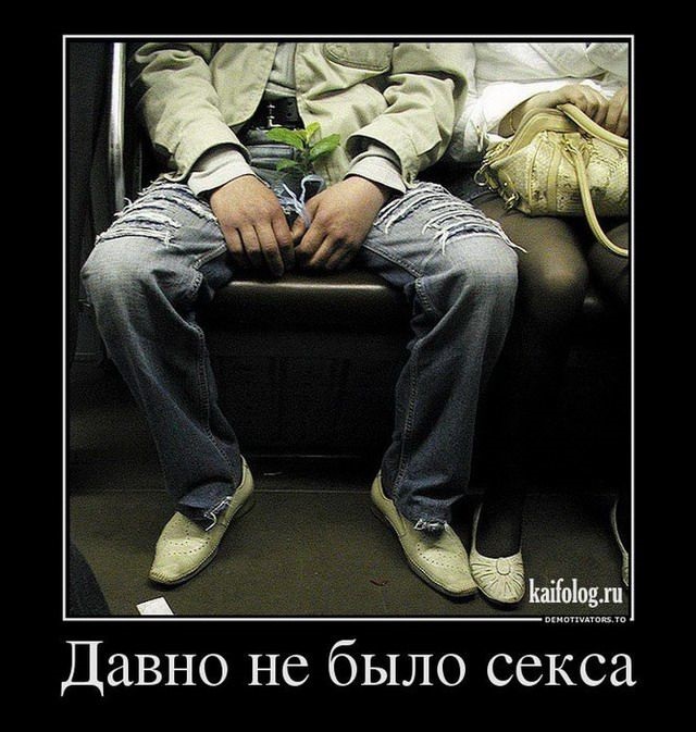 Хостинг картинок yapx.ru