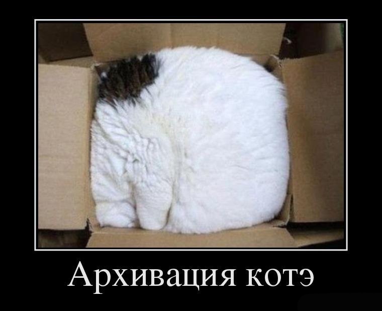 Хостинг картинок yapx.ru