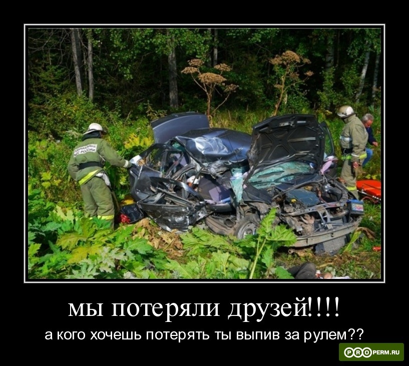 Хостинг картинок yapx.ru