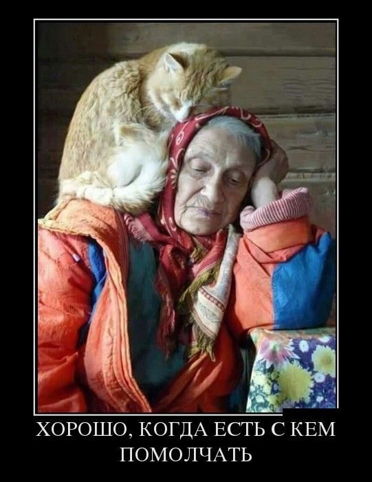 Хостинг картинок yapx.ru