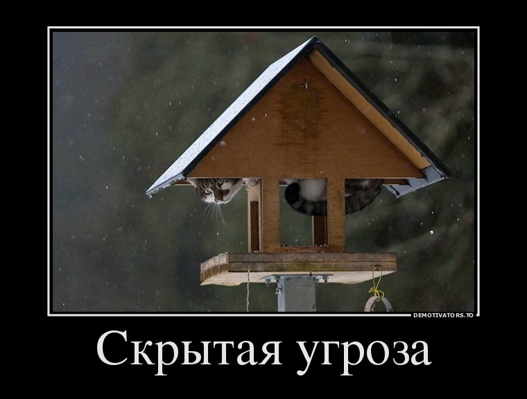 Хостинг картинок yapx.ru