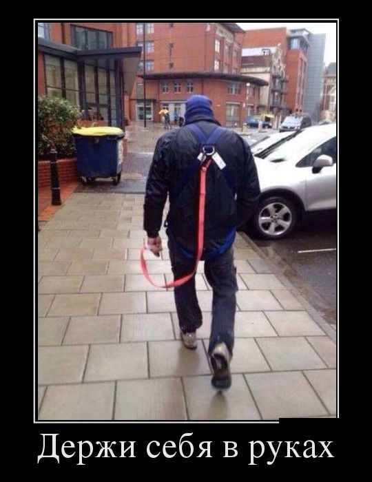 Хостинг картинок yapx.ru