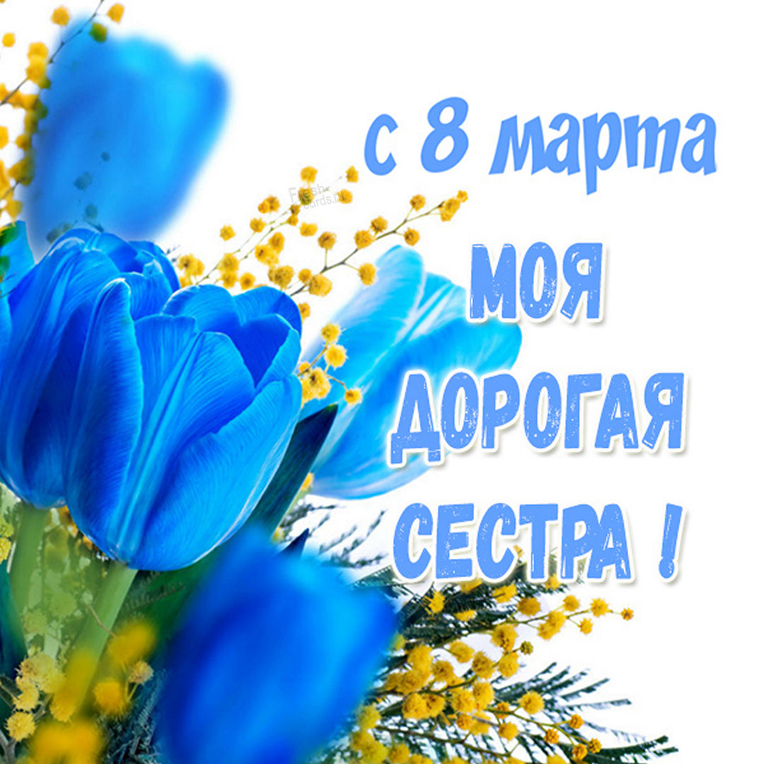 Хостинг картинок yapx.ru