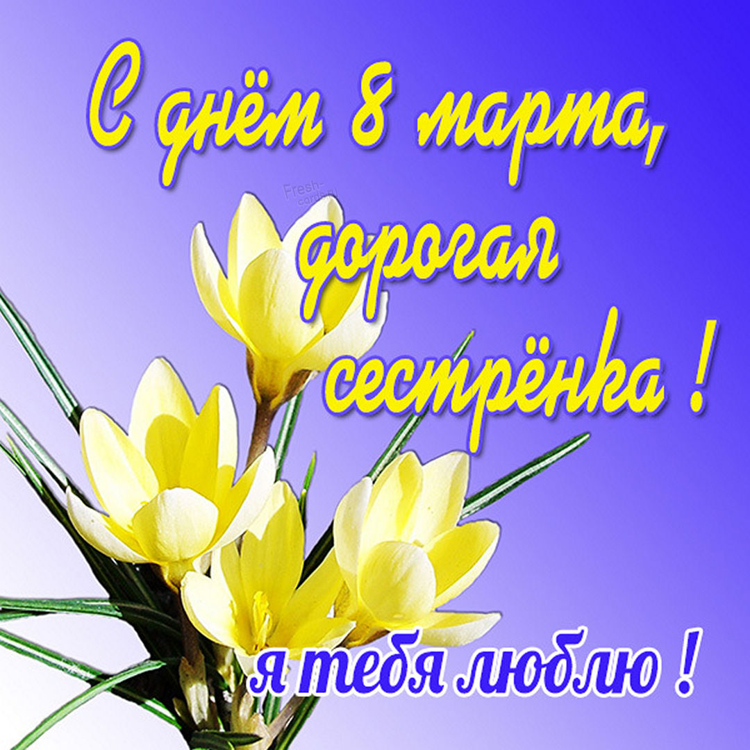 Хостинг картинок yapx.ru