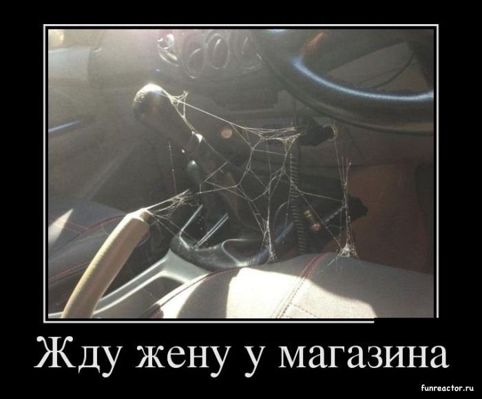 Хостинг картинок yapx.ru