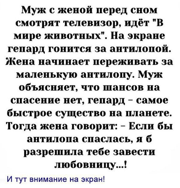 Хостинг картинок yapx.ru