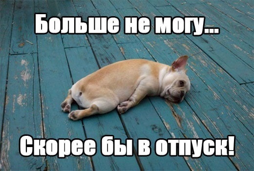 Хостинг картинок yapx.ru