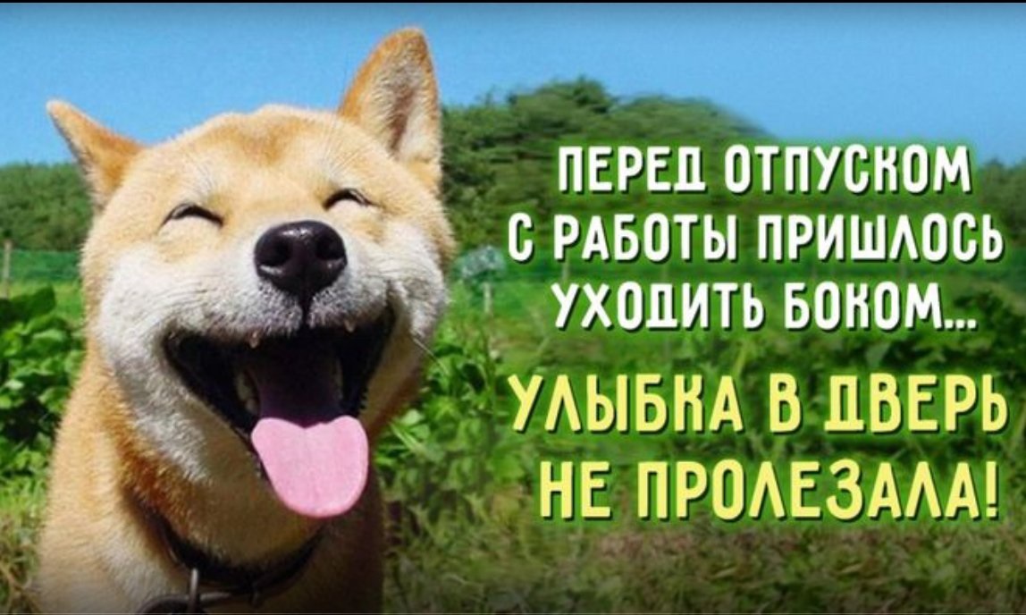 Хостинг картинок yapx.ru