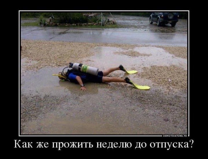 Хостинг картинок yapx.ru