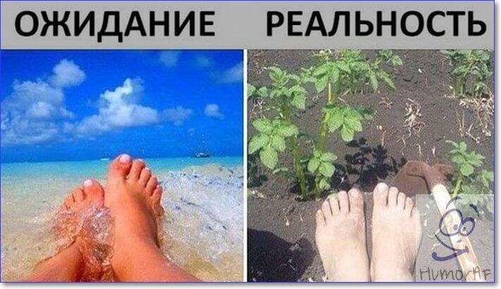 Хостинг картинок yapx.ru