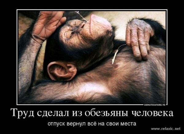 Хостинг картинок yapx.ru