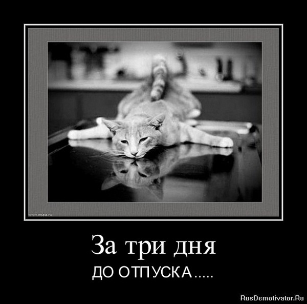 Хостинг картинок yapx.ru