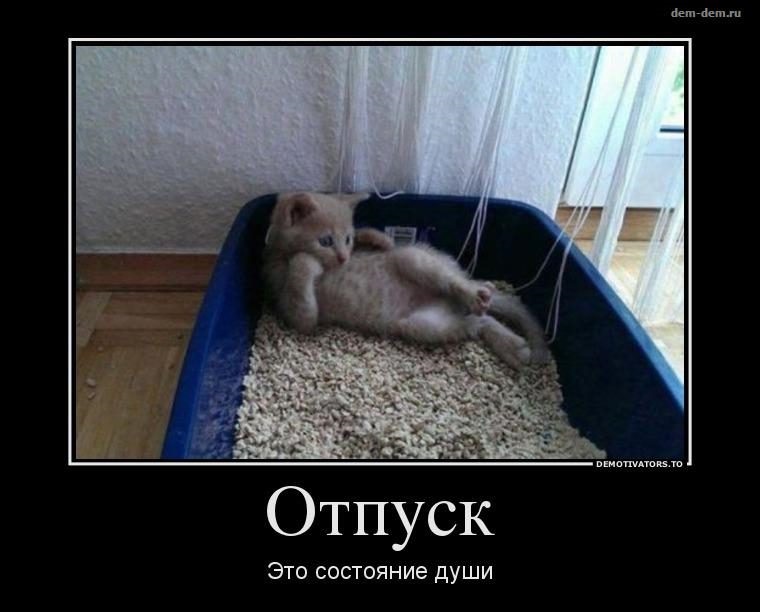 Хостинг картинок yapx.ru