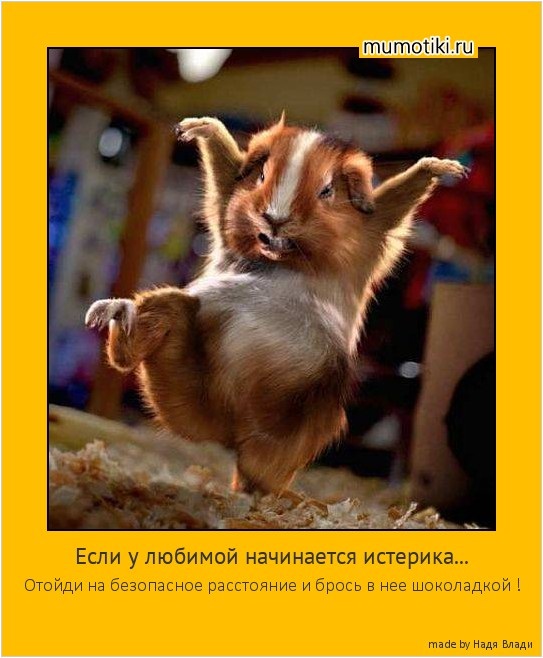 Хостинг картинок yapx.ru