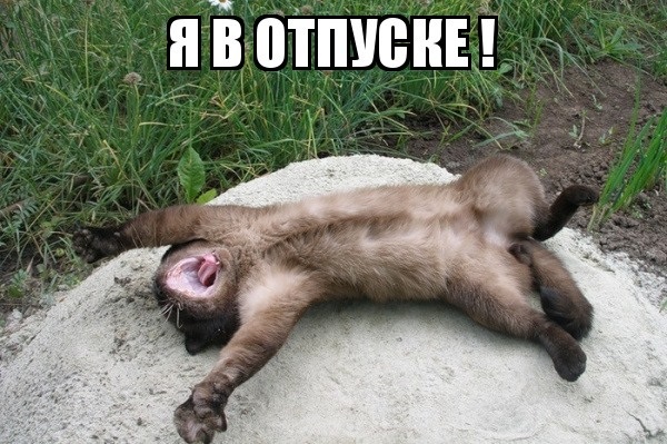 Хостинг картинок yapx.ru