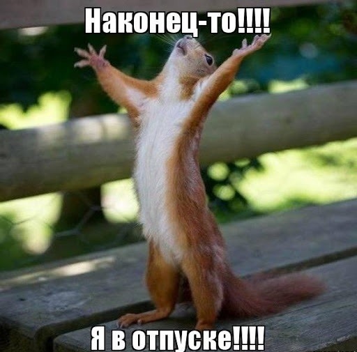 Хостинг картинок yapx.ru