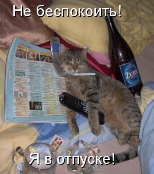 Хостинг картинок yapx.ru