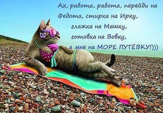 Хостинг картинок yapx.ru