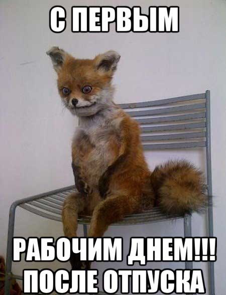 Хостинг картинок yapx.ru