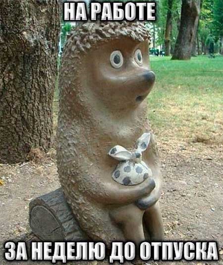 Хостинг картинок yapx.ru