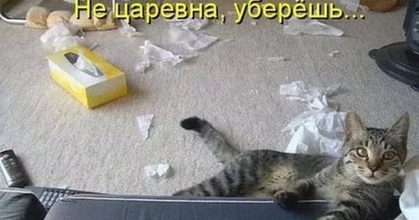 Хостинг картинок yapx.ru