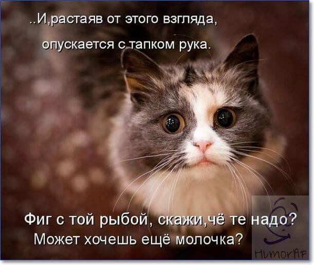 Хостинг картинок yapx.ru