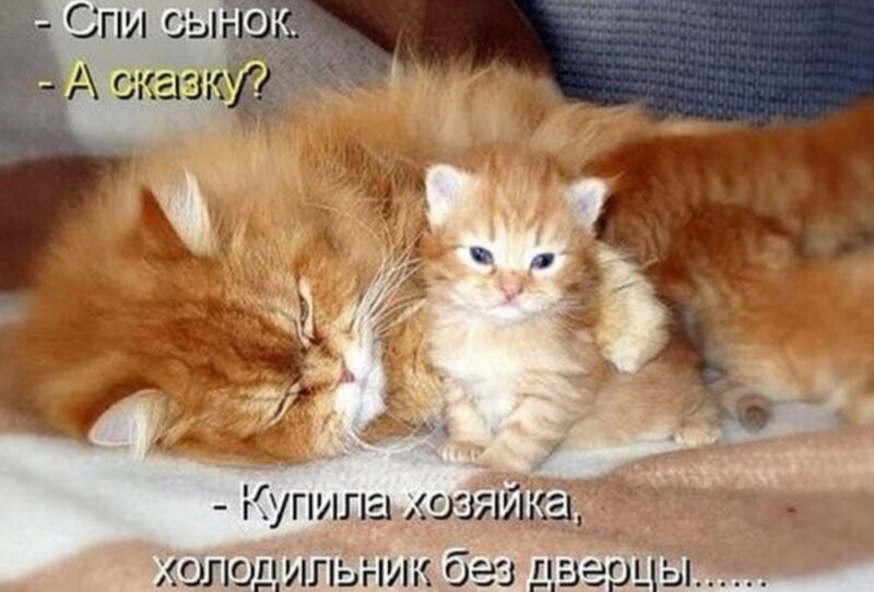 Хостинг картинок yapx.ru