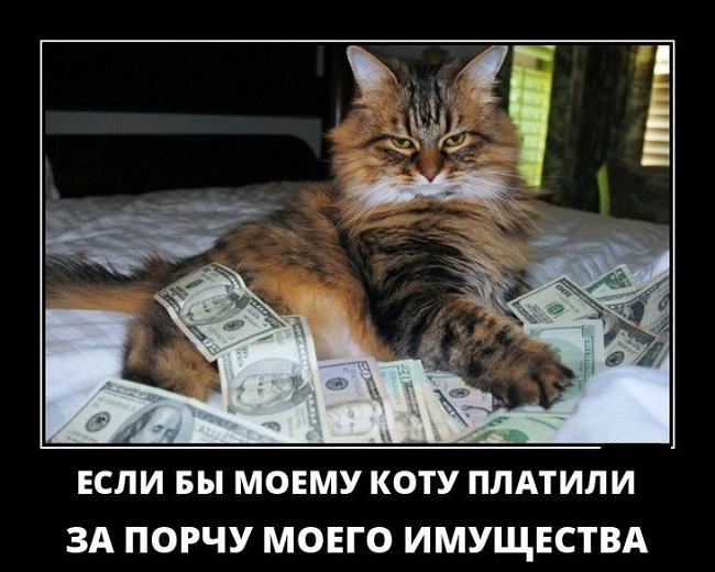 Хостинг картинок yapx.ru