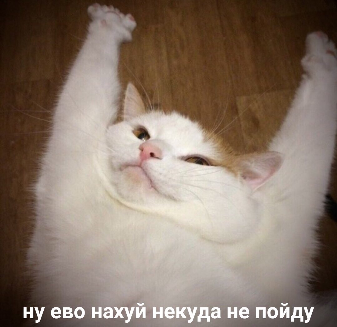 Хостинг картинок yapx.ru