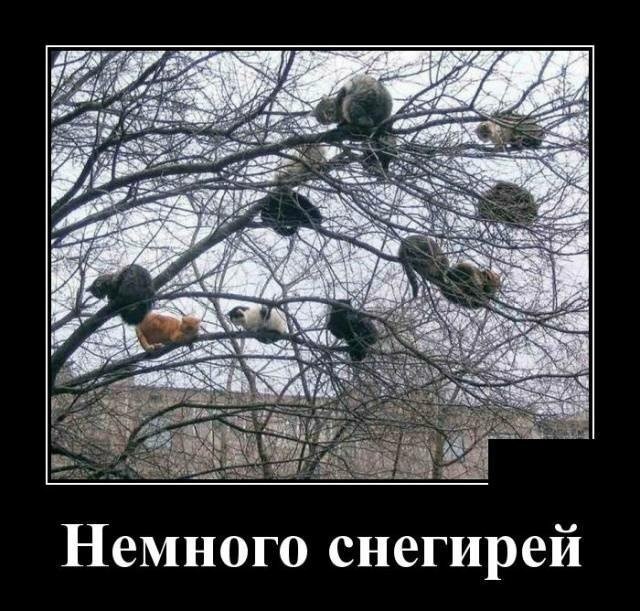 Хостинг картинок yapx.ru