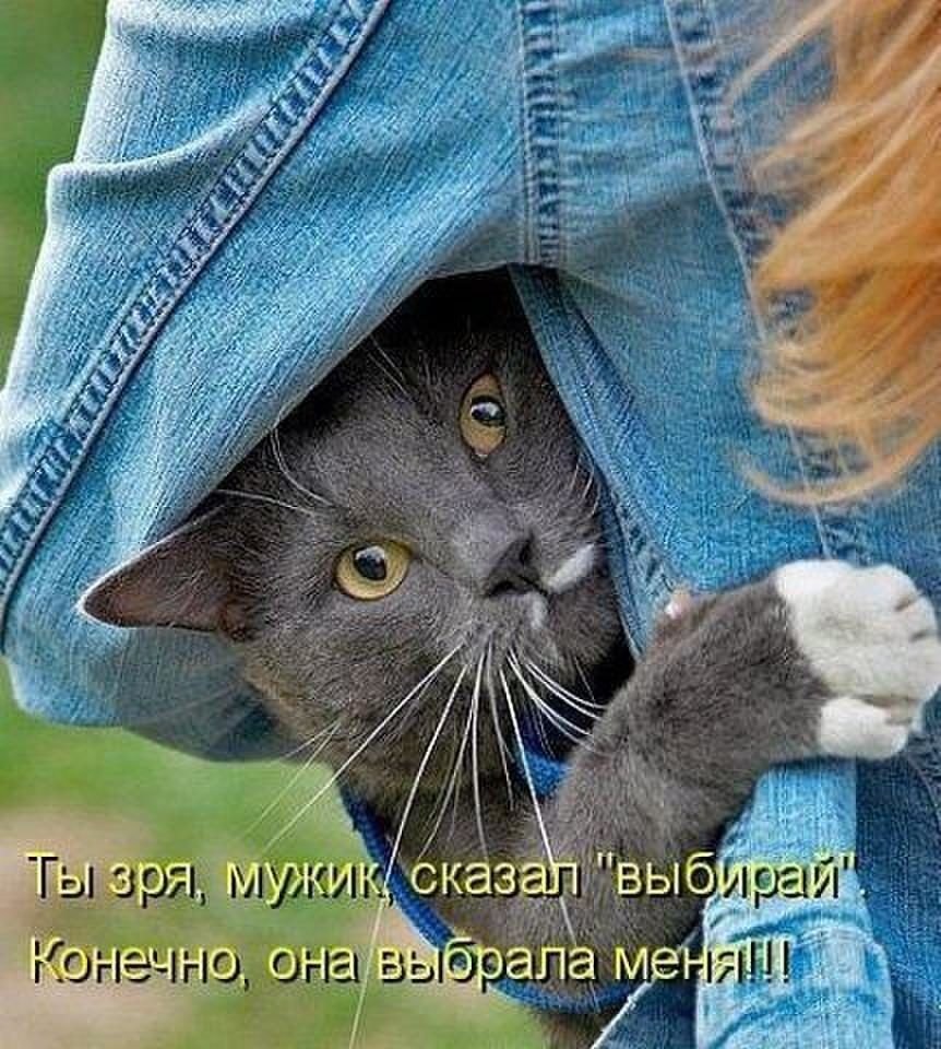 Хостинг картинок yapx.ru