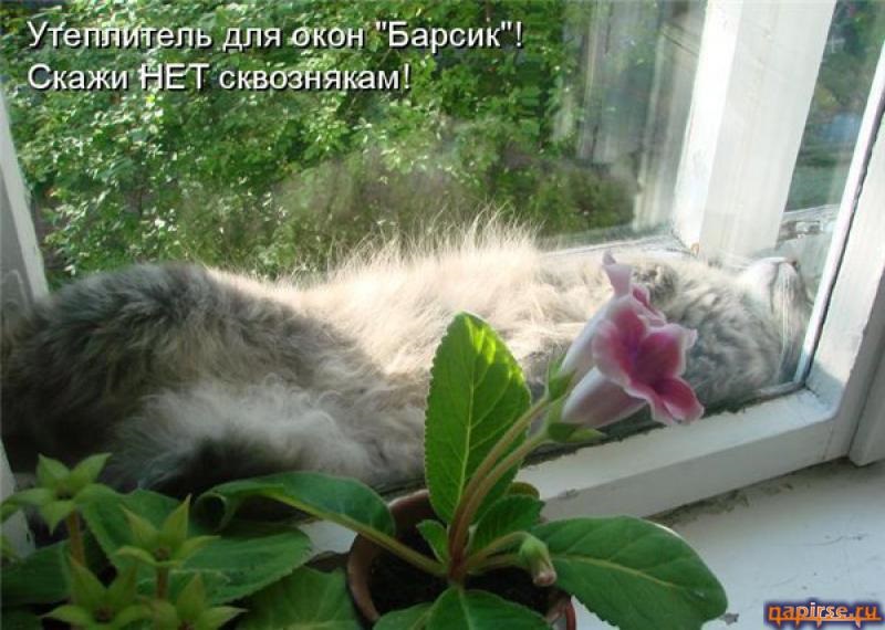 Хостинг картинок yapx.ru